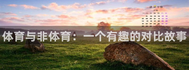 必一运动bsport体育