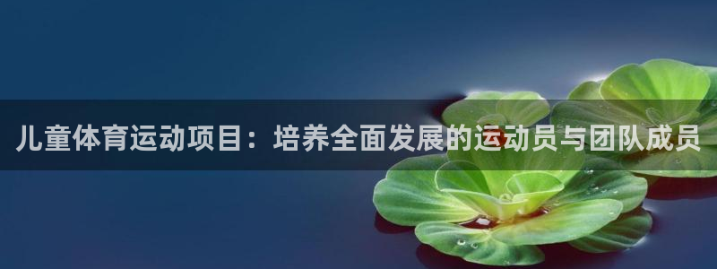 必一运动体育官网