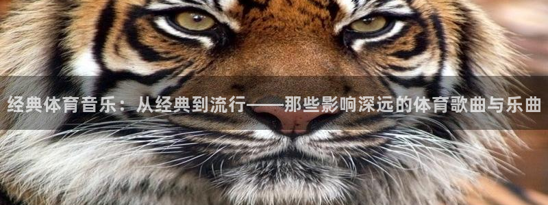 必一运动官网入口