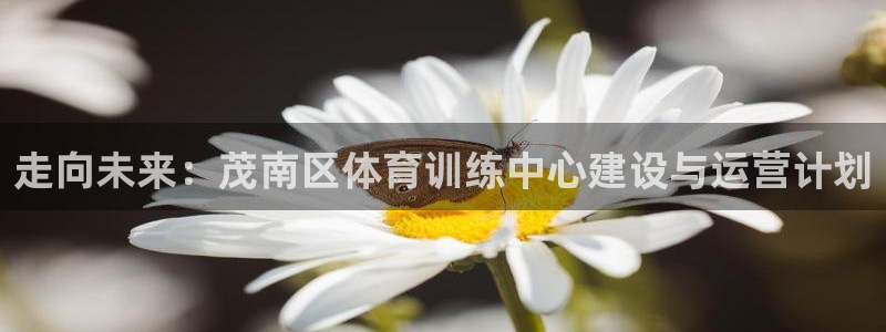 bsports官网 必一运动