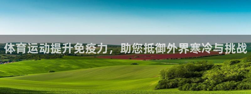 必一运动bsport体育