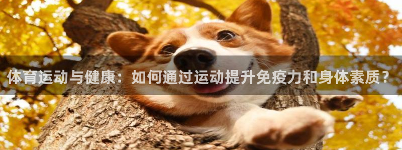 必一运动体育官网