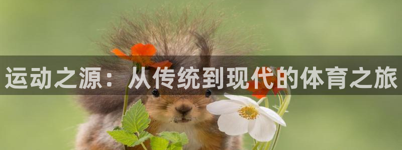 bsports必一运动