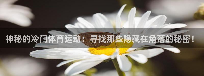 必一运动官网