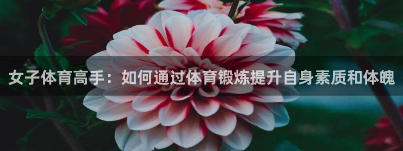 必一运动体育官网入口