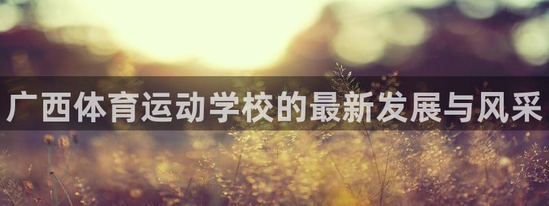 必一运动体育官网