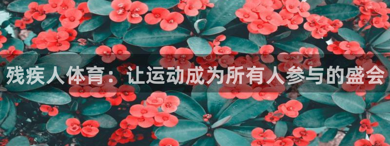 b体育必一运动官网