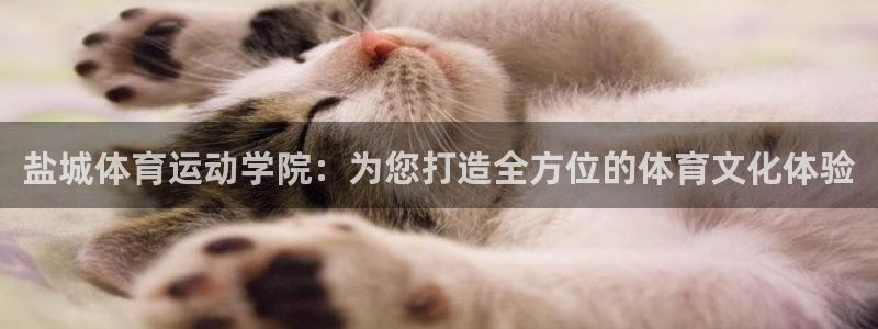 必一运动
